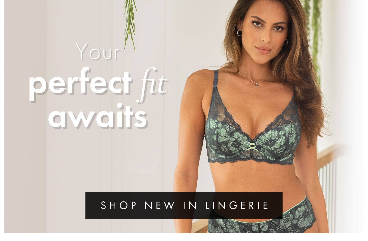 Lingerie online shop shop