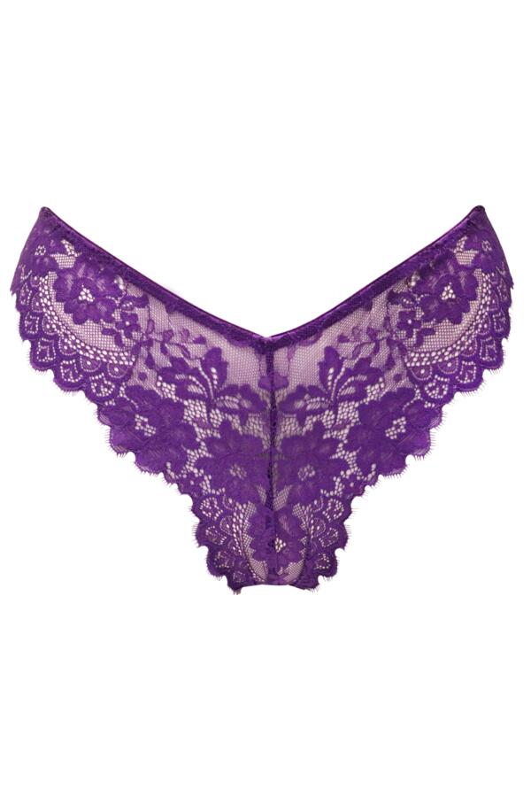 India Eyelash Lace V-Shape Brief