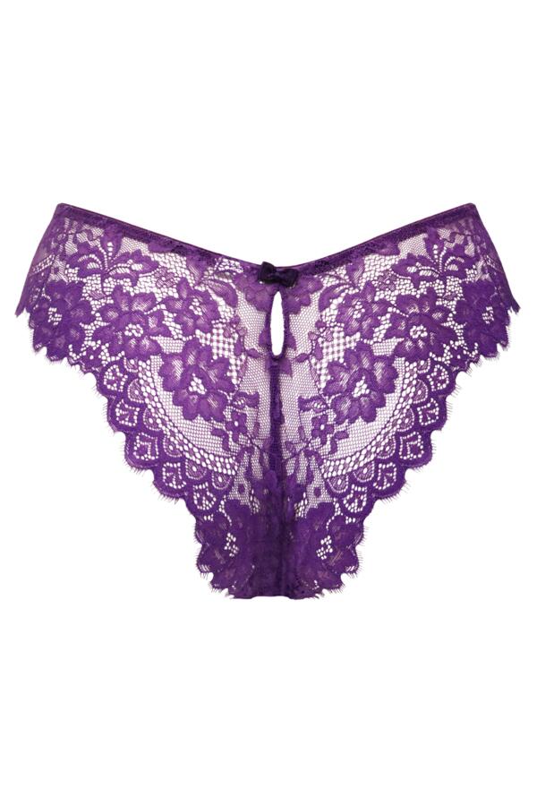 India Eyelash Lace V-Shape Brief