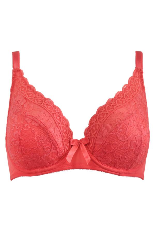 Rebel Underwired Plunge Bra