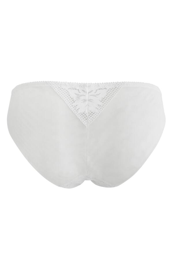 Reflection Brazilian Brief