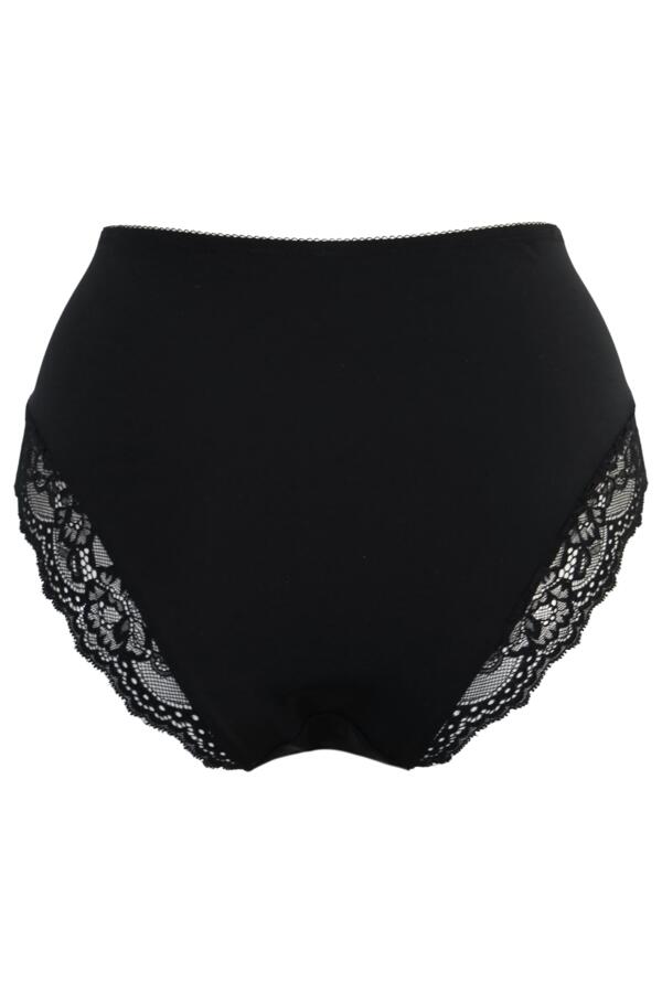 Mesh and Lace Deep Brief