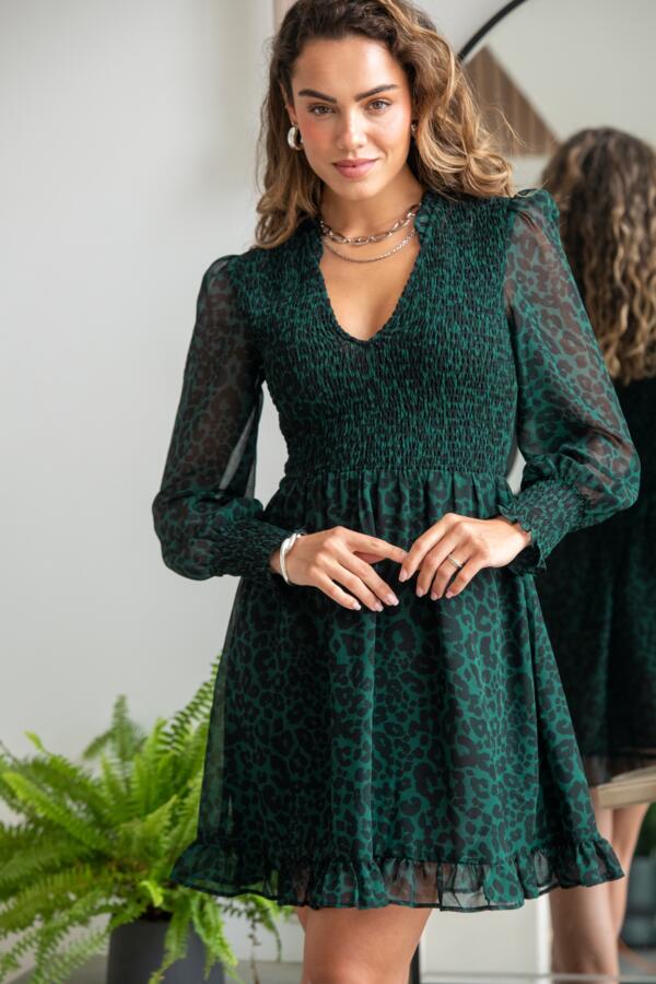 Izzy Shirred Bodice Long Sleeve Chiffon Dress