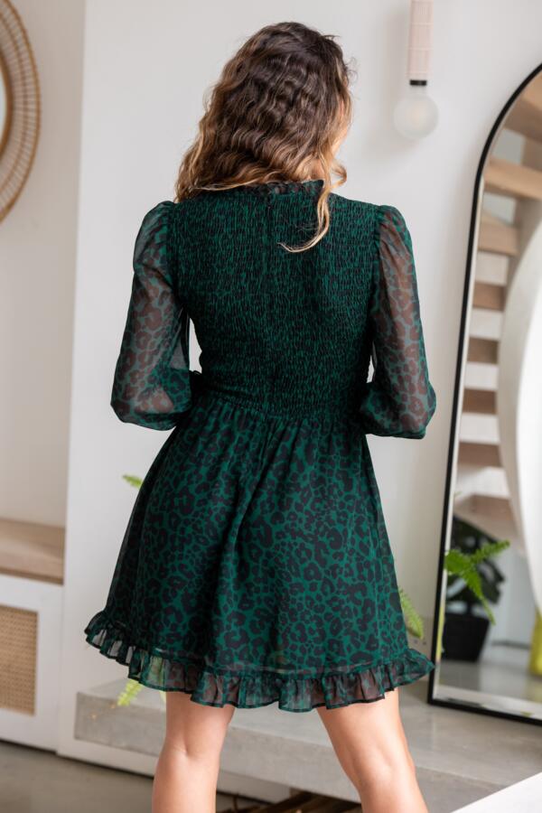 Izzy Shirred Bodice Long Sleeve Chiffon Dress