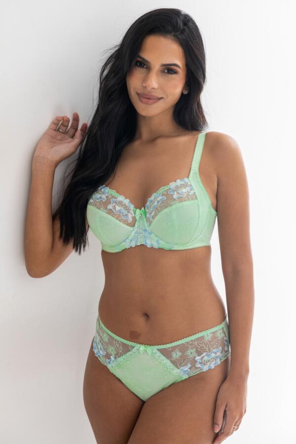 Sofia Embroidered Lace Bikini Brief