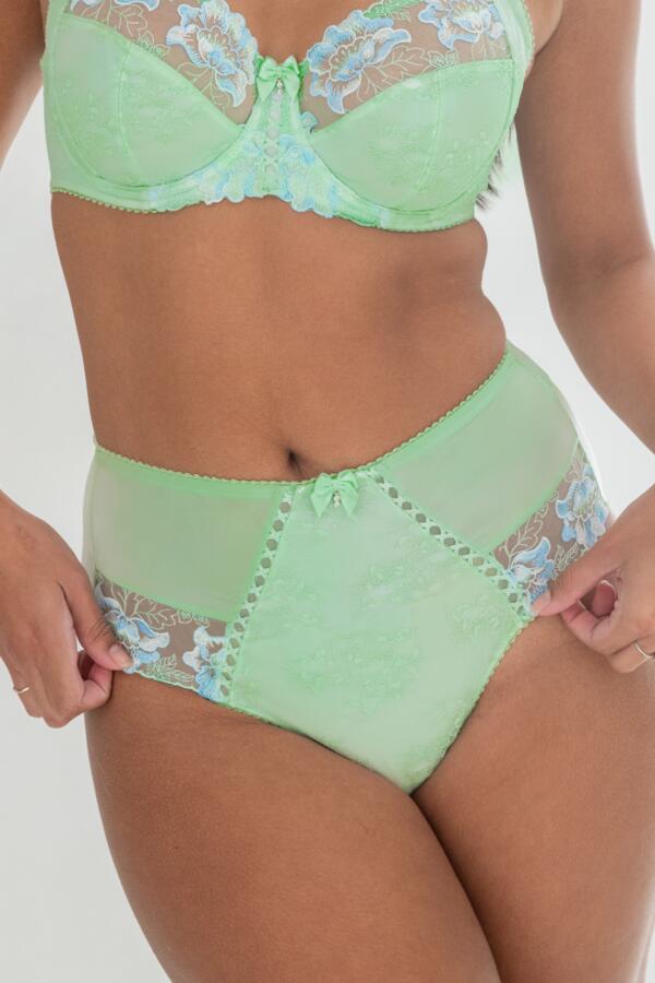 Sofia Lace Embroidered Deep Brief
