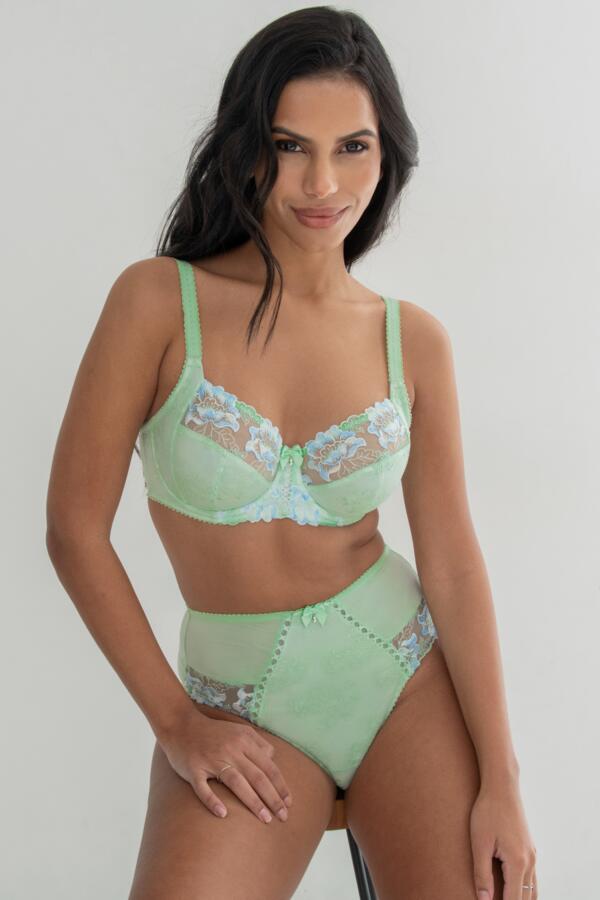 Sofia Lace Embroidered Deep Brief