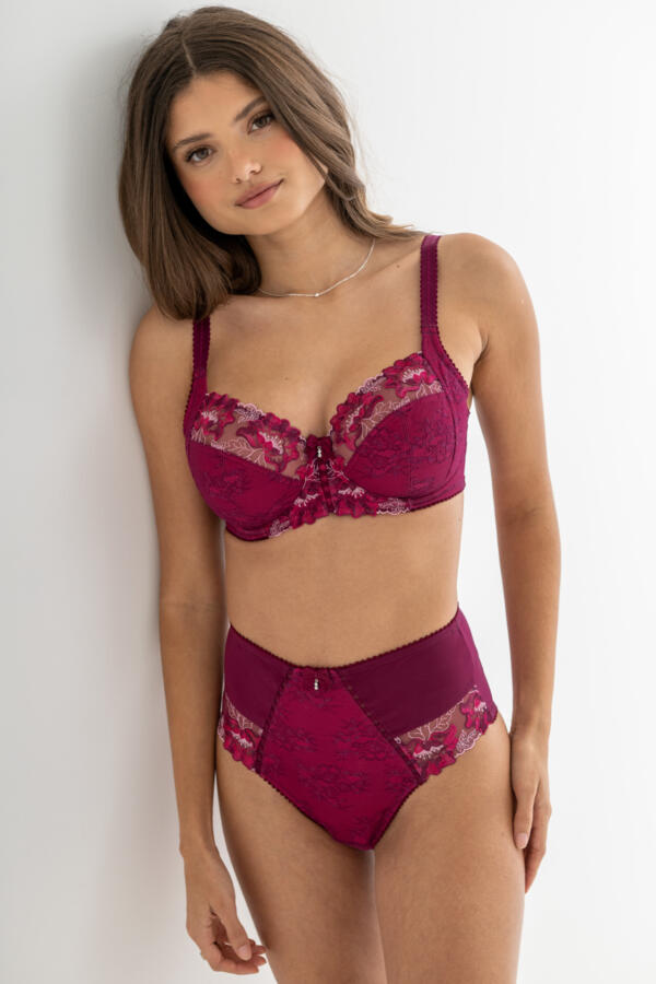 Sofia Lace Embroidered Deep Brief