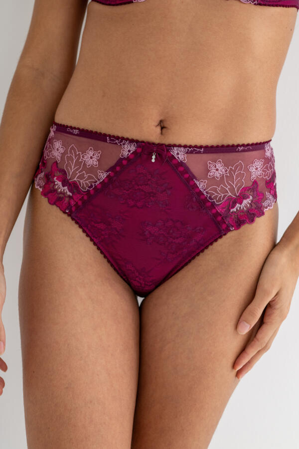 Sofia Embroidered Lace Bikini Brief