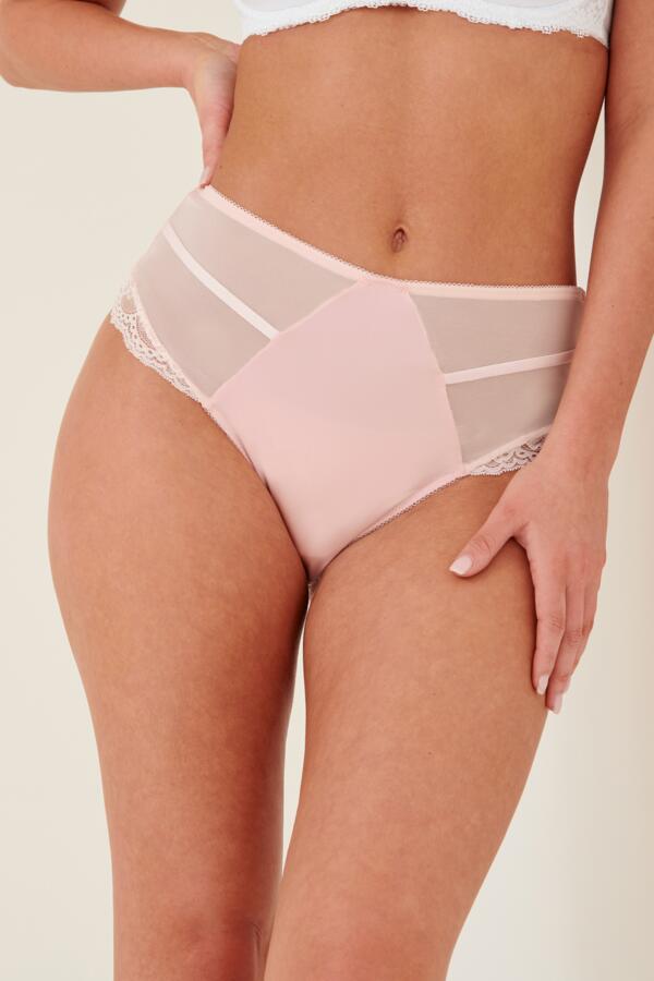 Mesh and Lace Deep Brief 2 Pack