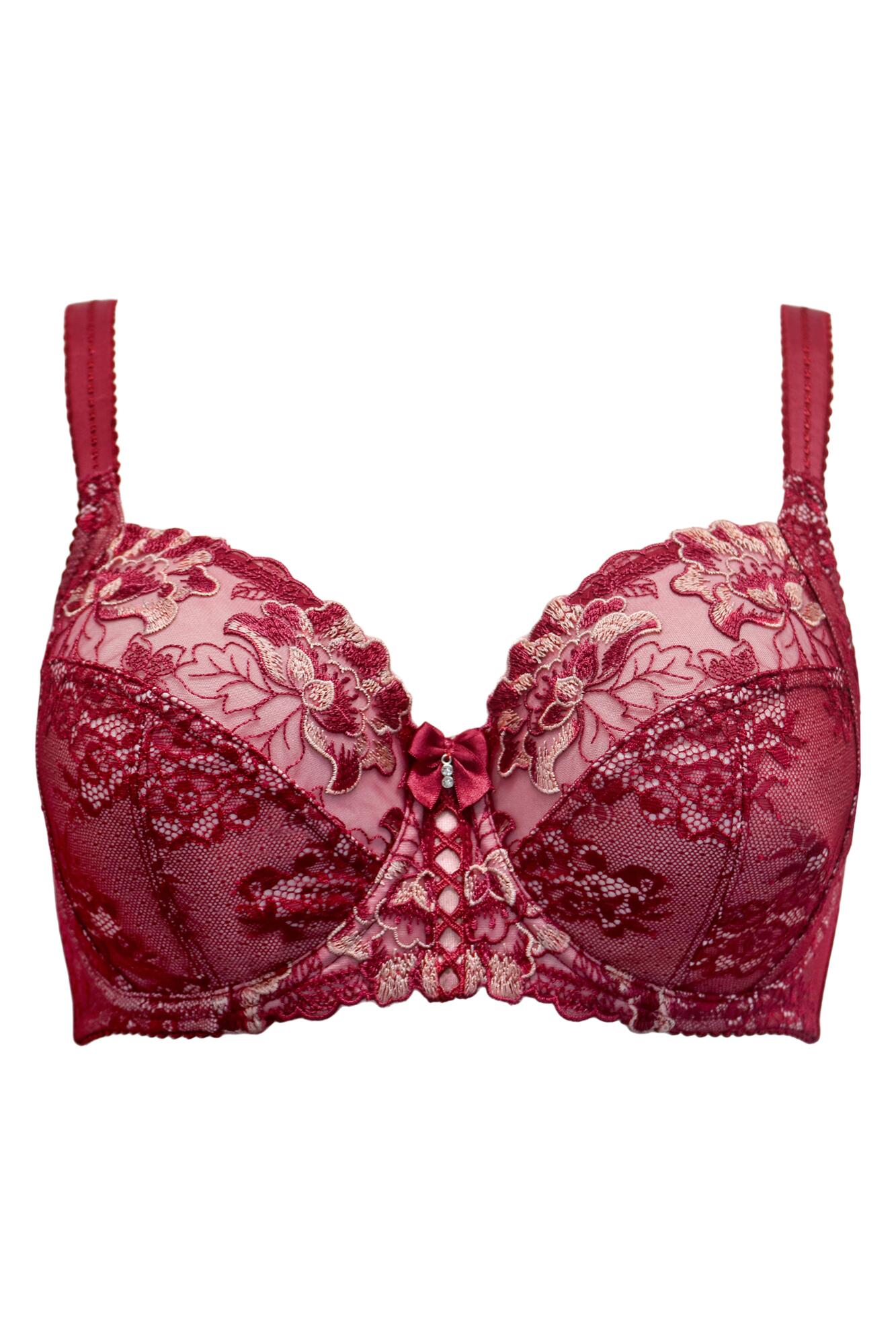 Sofia Lace Embroidered Side Support Bra D-j In Red 