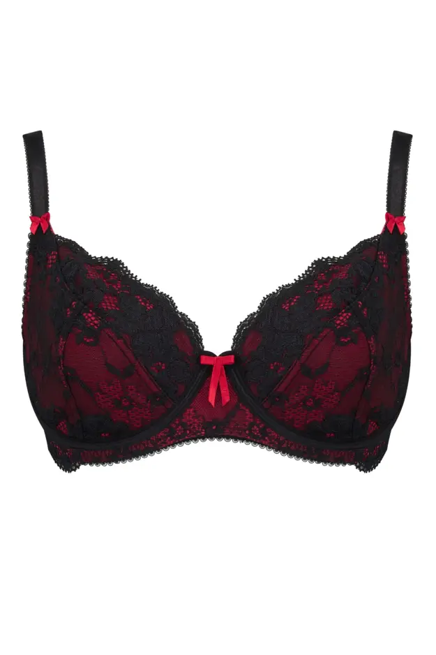 Buy Amour Secret Padded Non Wired Demi Coverage Push Up Bra - Black at  Rs.883 online