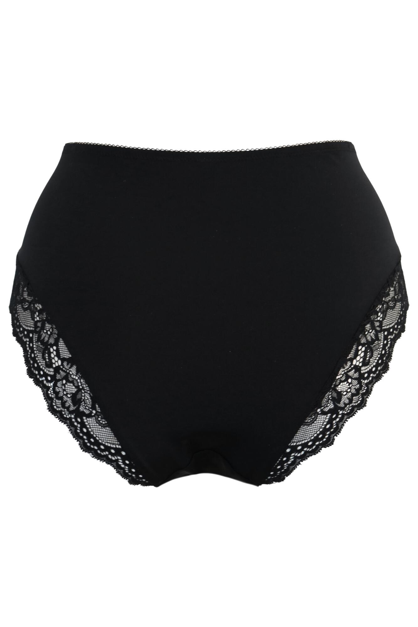 Mesh and Lace Deep Brief, Black