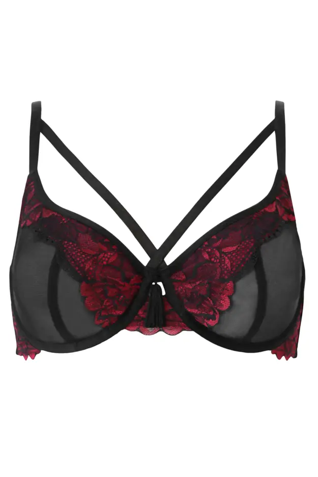 Red And Black Lace Bra