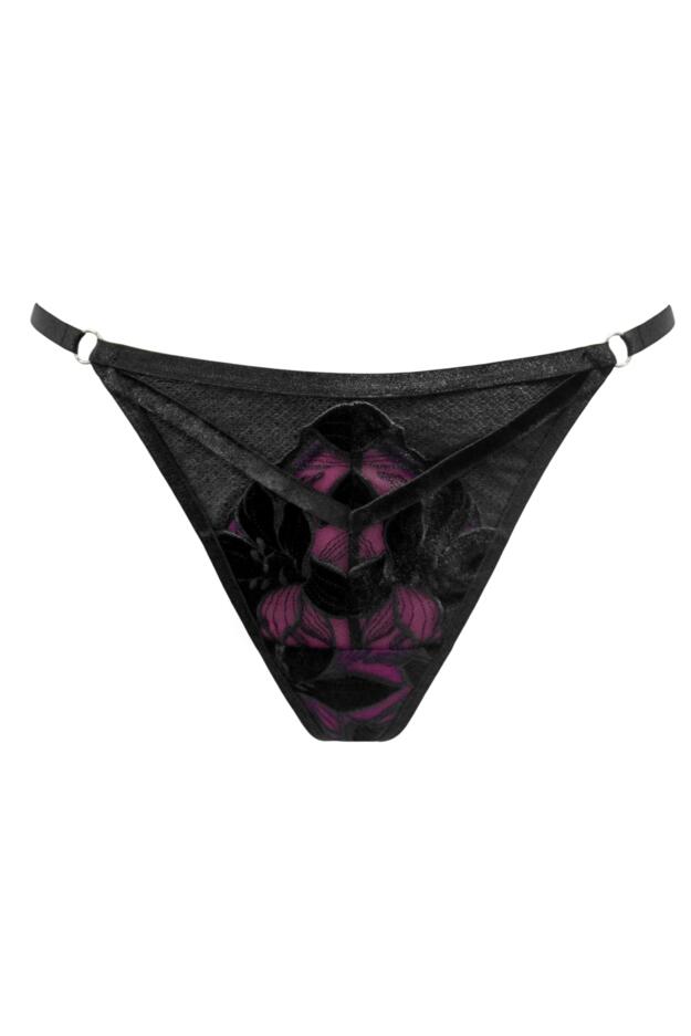 Icon Padded Suspender Set