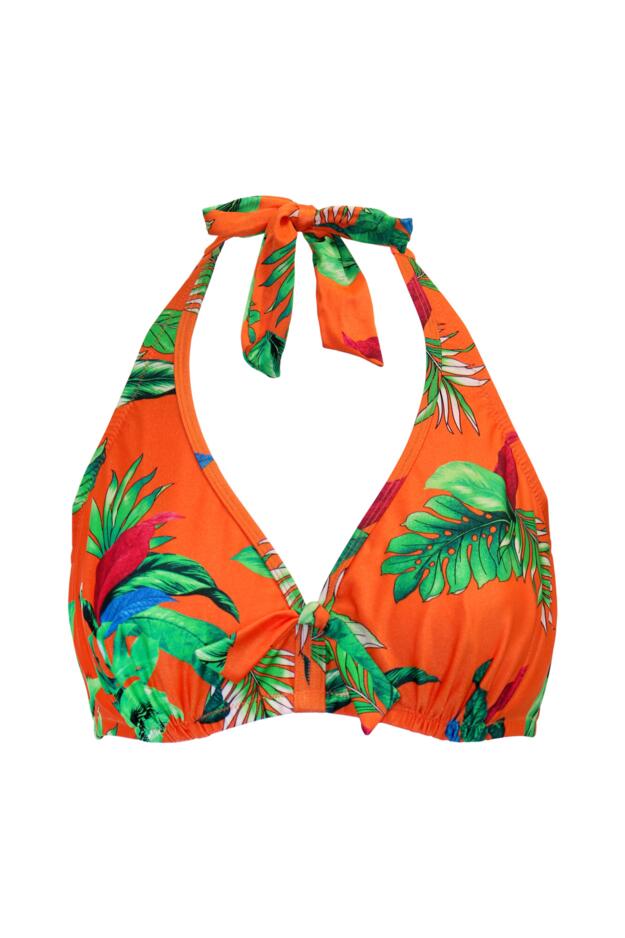 Paradiso Triangle Hidden Underwired Bikini Top