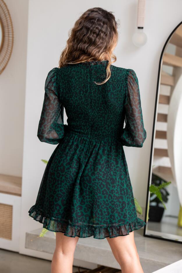 Izzy Shirred Bodice Long Sleeve Chiffon Dress 