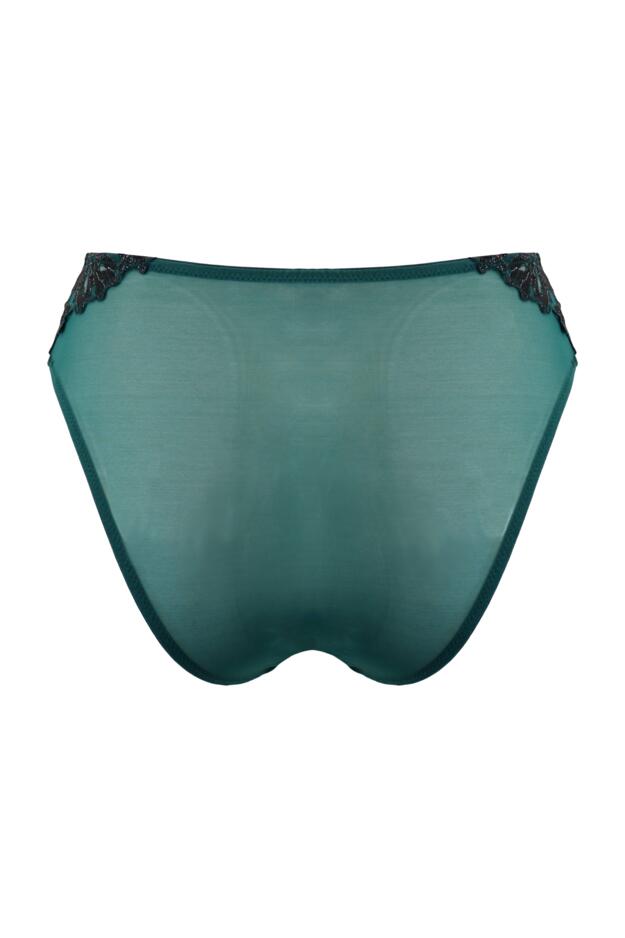 Roxie Mesh High Leg Brief
