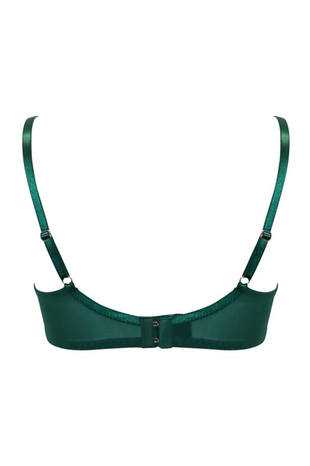 Roxie Underwired Bra B-G