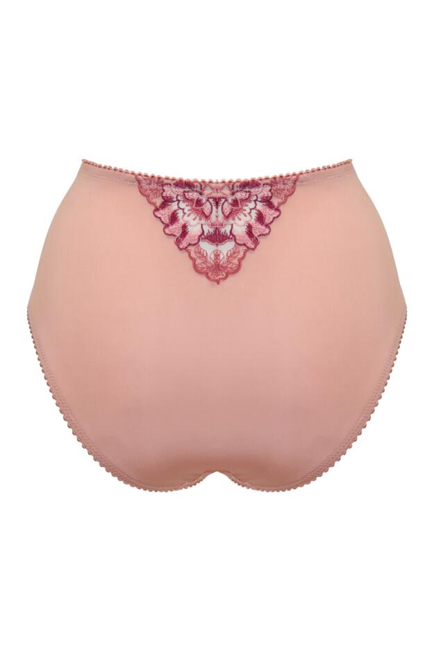 Sofia Lace Embroidered Deep Brief