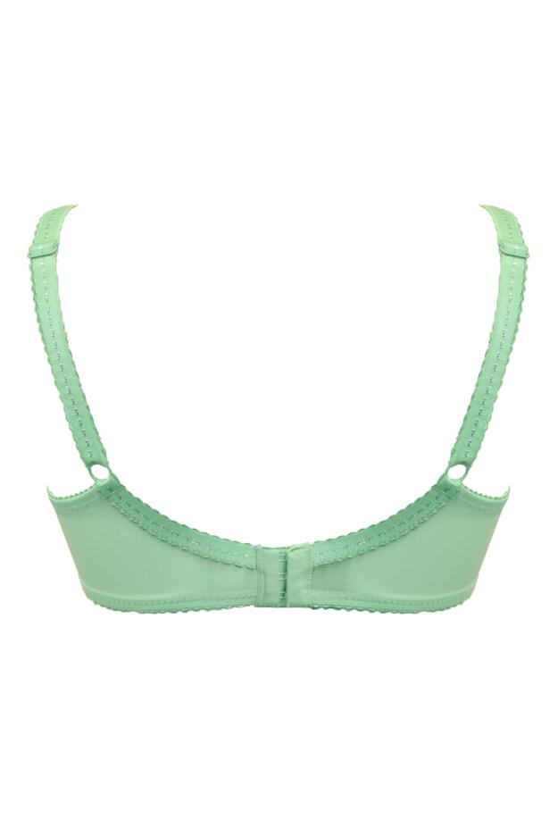 Sofia Lace Embroidered Side Support Bra D-J