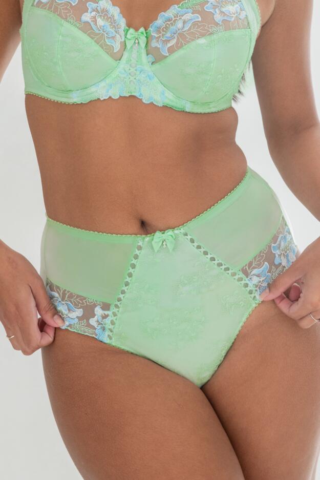 Sofia Lace Embroidered Deep Brief