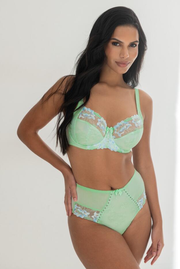 Sofia Lace Embroidered Deep Brief