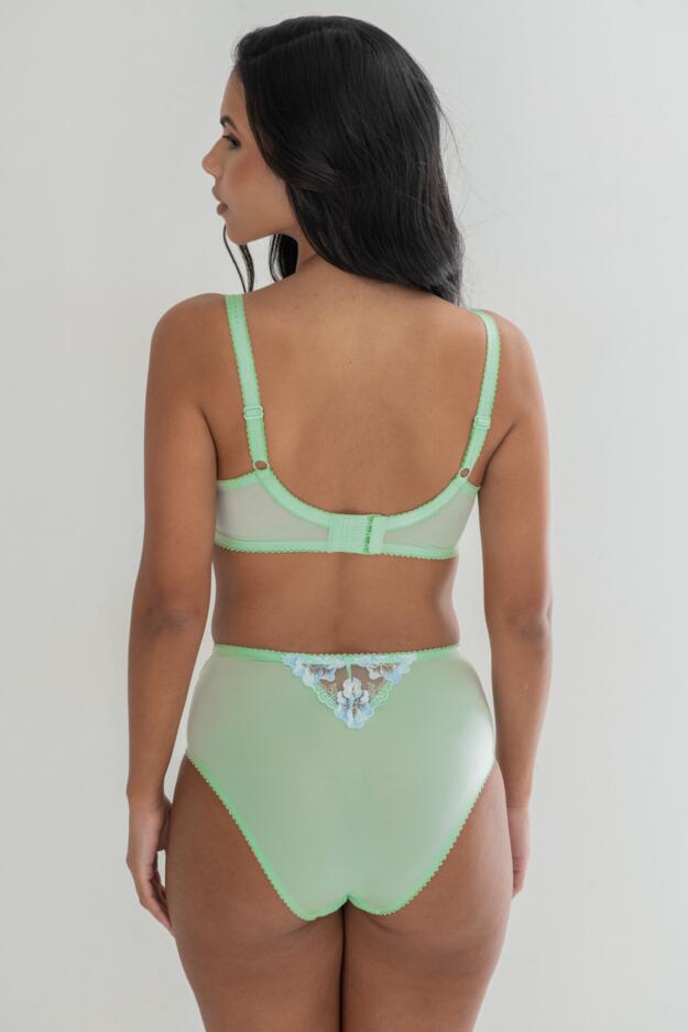 Sofia Lace Embroidered Deep Brief