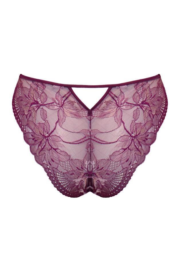 Sonnet Two-Tone Lace Midi Brazilian Brief 