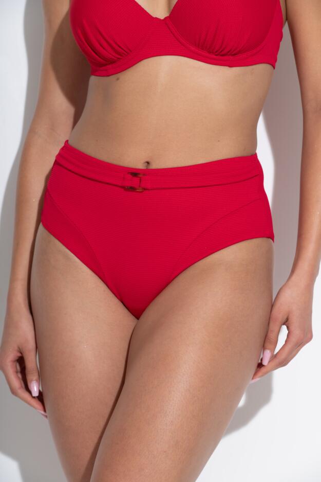 Hawaii High Waist Belted Tummy Control Brief