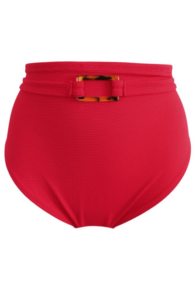 Hawaii High Waist Belted Tummy Control Brief