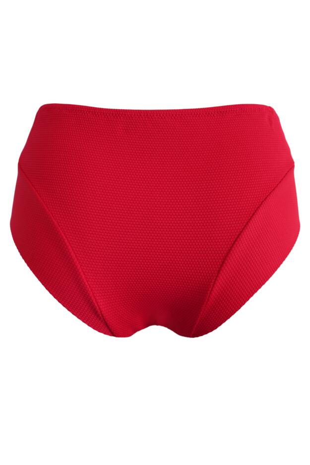 Hawaii High Waist Belted Tummy Control Brief