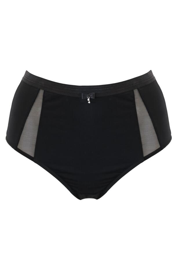 Viva Luxe High Waist Light Control Brief 