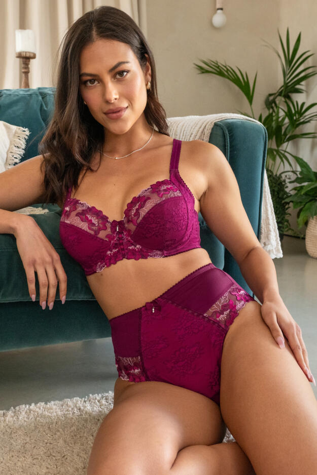 Sofia Lace Embroidered Deep Brief