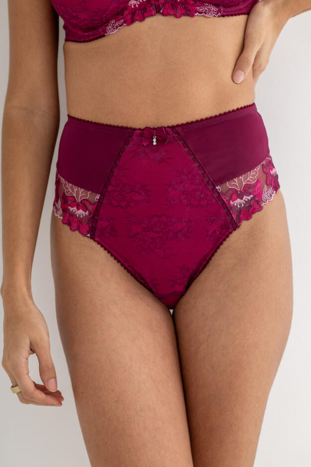 Sofia Lace Embroidered Deep Brief