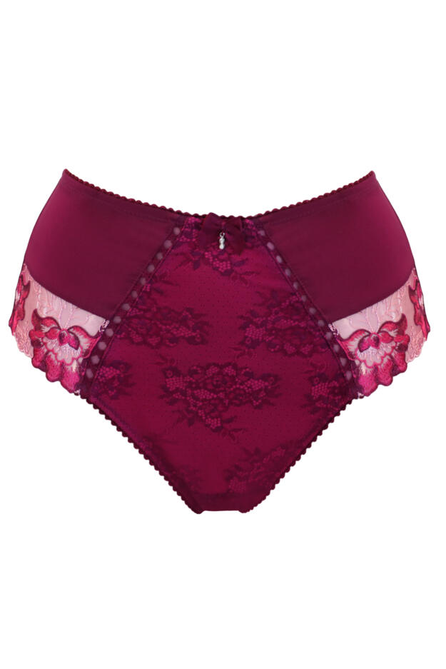 Sofia Lace Embroidered Deep Brief