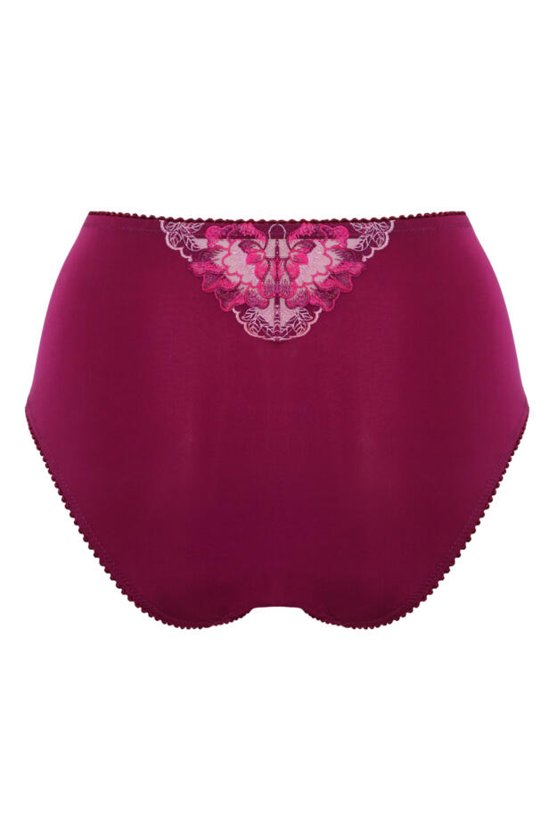 Sofia Lace Embroidered Deep Brief