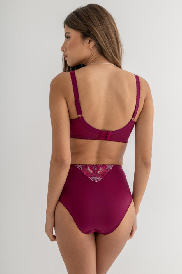 Sofia Lace Embroidered Side Support Bra D-J