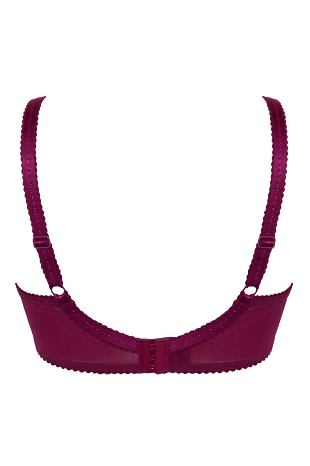 Sofia Lace Embroidered Side Support Bra D-J