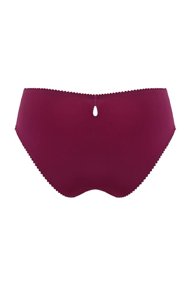 Sofia Embroidered Lace Bikini Brief