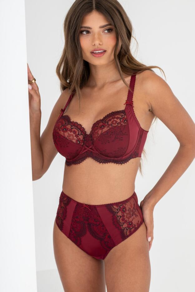 Hollywood High Waist Light Control Brief 