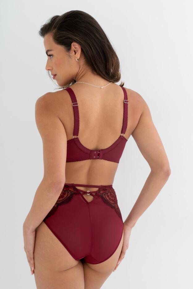 Hollywood High Waist Light Control Brief 