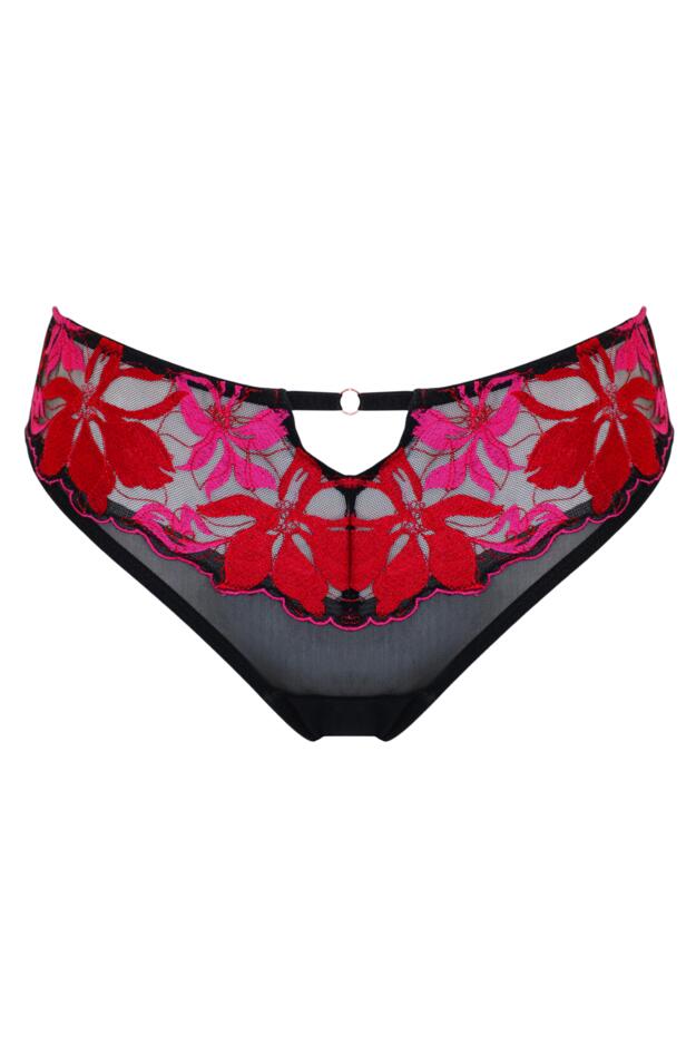 Roxanne Embroidered High Leg Mesh Brief