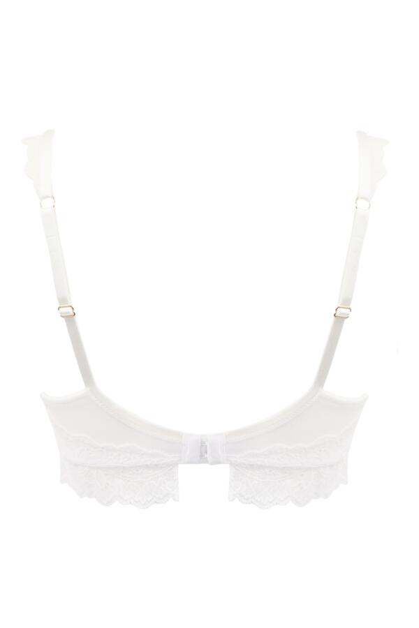 Divine Padded Push up Plunge Bra