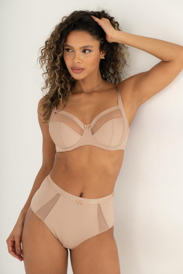 Viva Luxe High Waist Light Control Brief